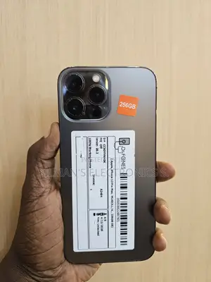 Apple iPhone 13 Pro Max 256 GB Black