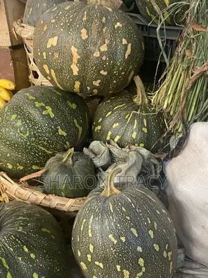 Pumpkins for Sale