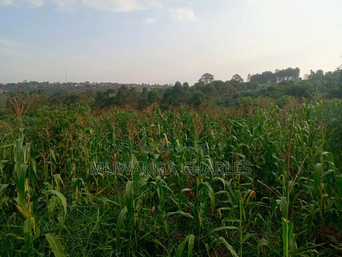 Land on Sale in Kiwebwa Semuto Road
