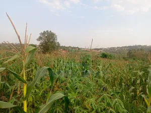Land on Sale in Kiwebwa Semuto Road
