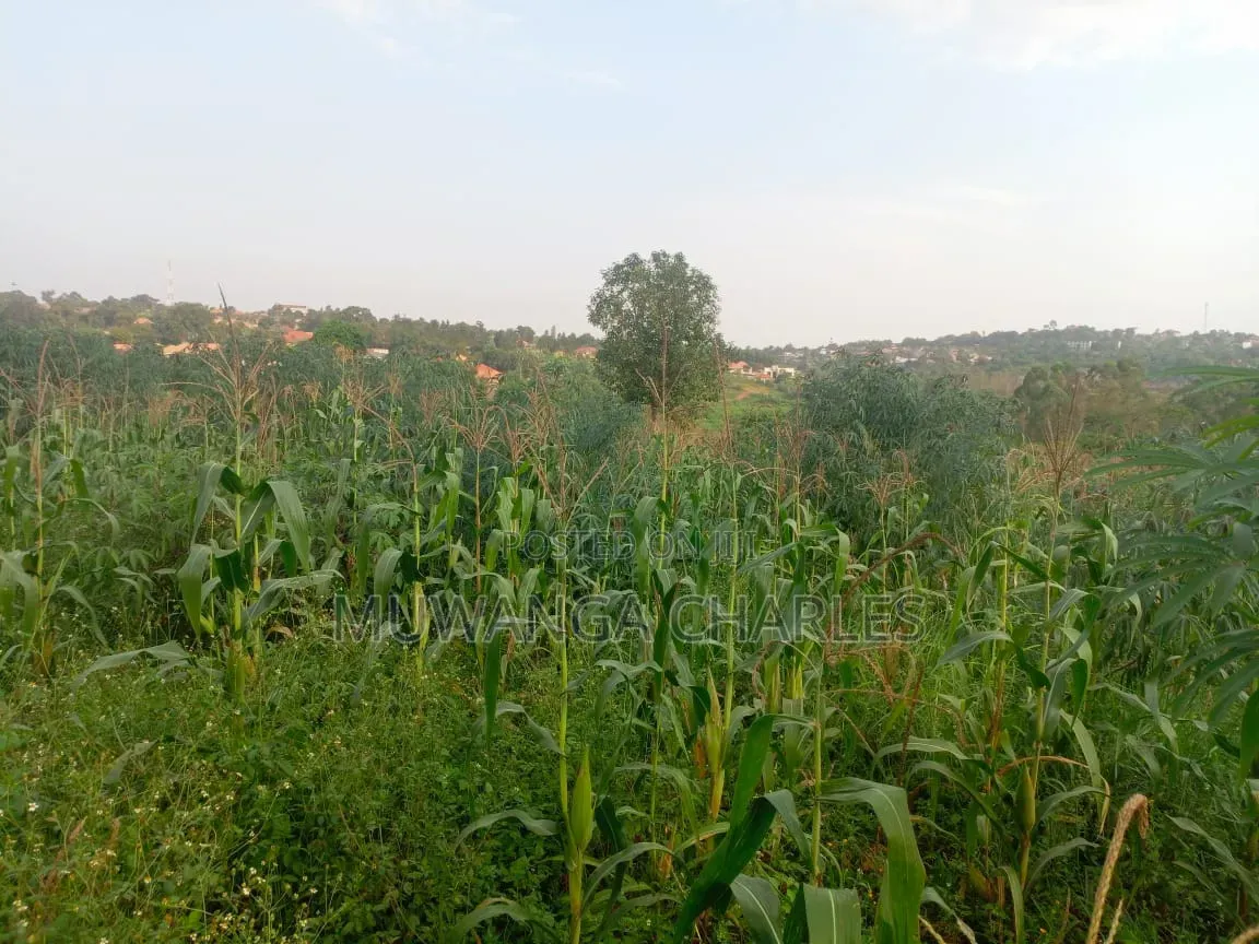 Land on Sale in Kiwebwa Semuto Road