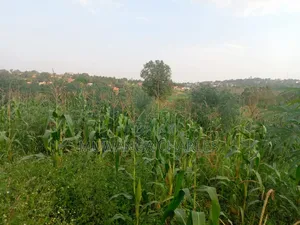 Land on Sale in Kiwebwa Semuto Road