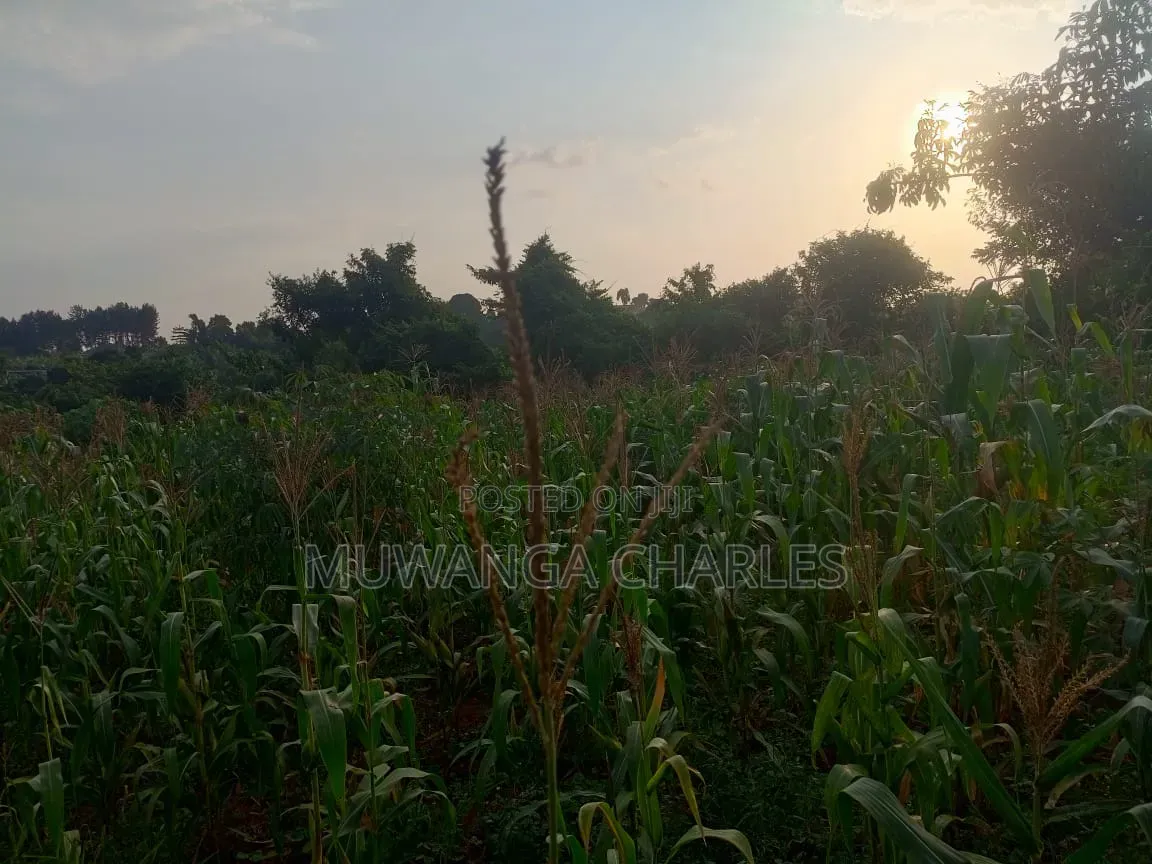 Land on Sale in Kiwebwa Semuto Road