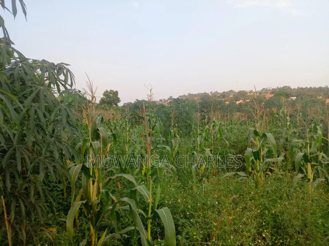 Land on Sale in Kiwebwa Semuto Road