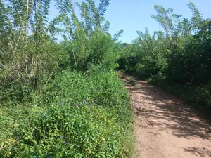 Land on Sale in Zirobwe Kakala