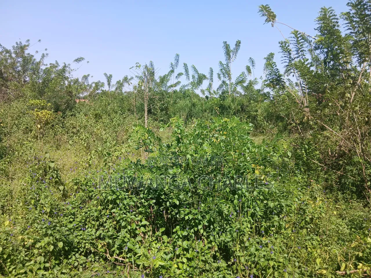 Land on Sale in Zirobwe Kakala