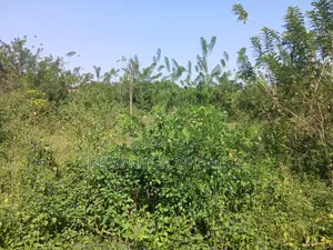 Land on Sale in Zirobwe Kakala