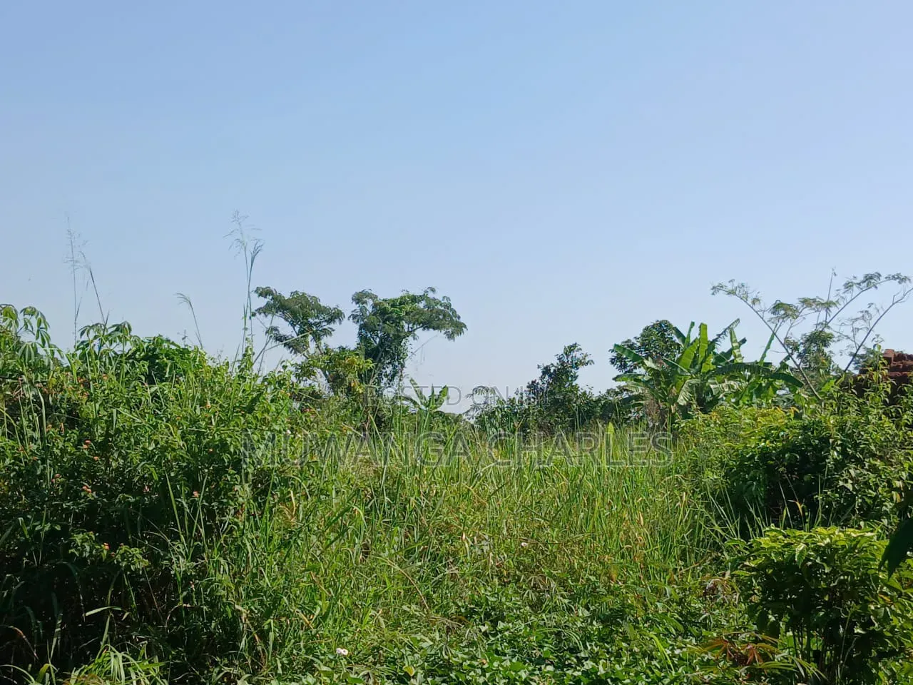 Land on Sale in Zirobwe Kakala