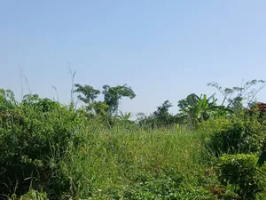 Land on Sale in Zirobwe Kakala