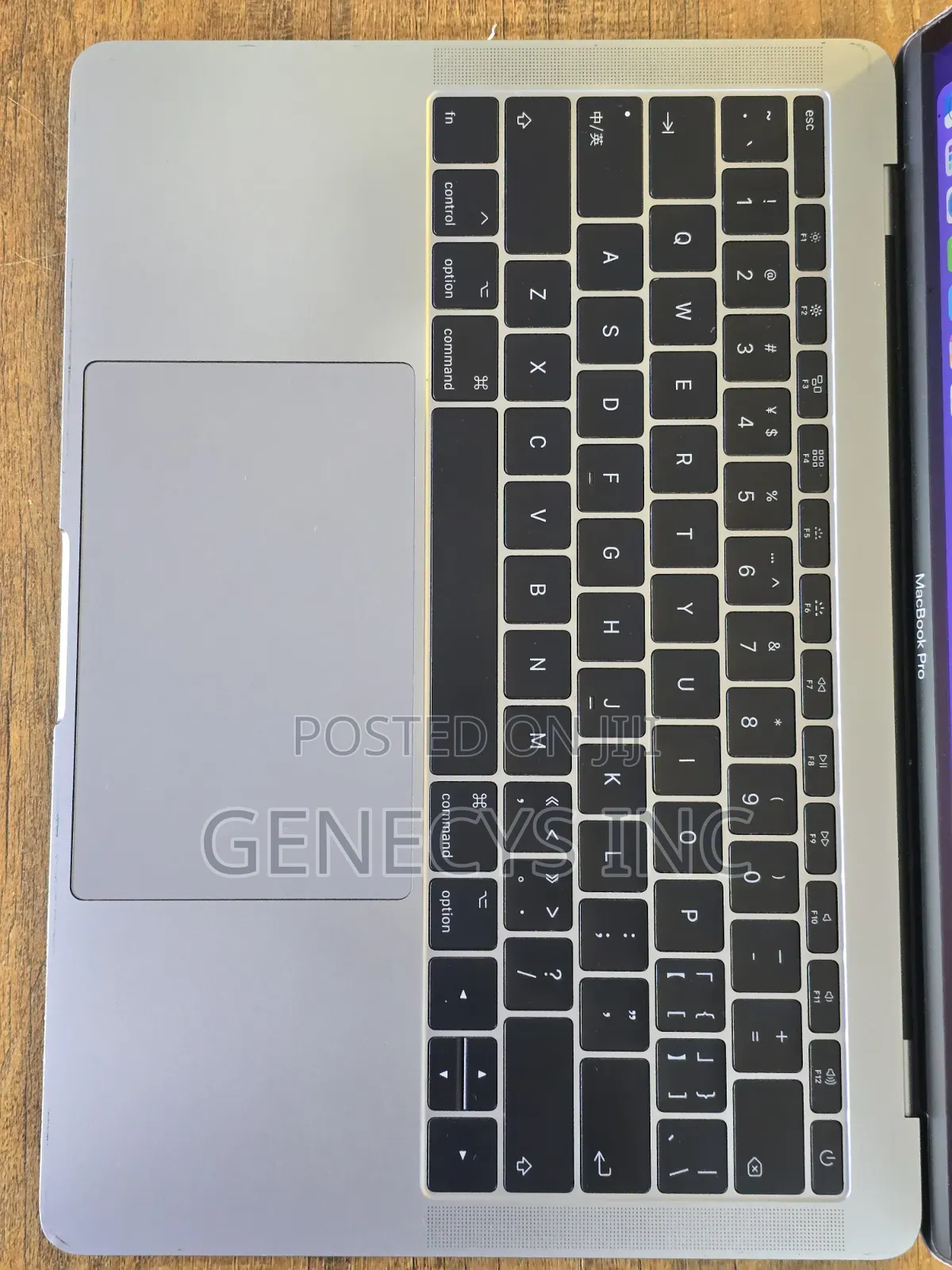 Laptop Apple MacBook Pro 2017 8GB Intel Core i5 SSD 128GB