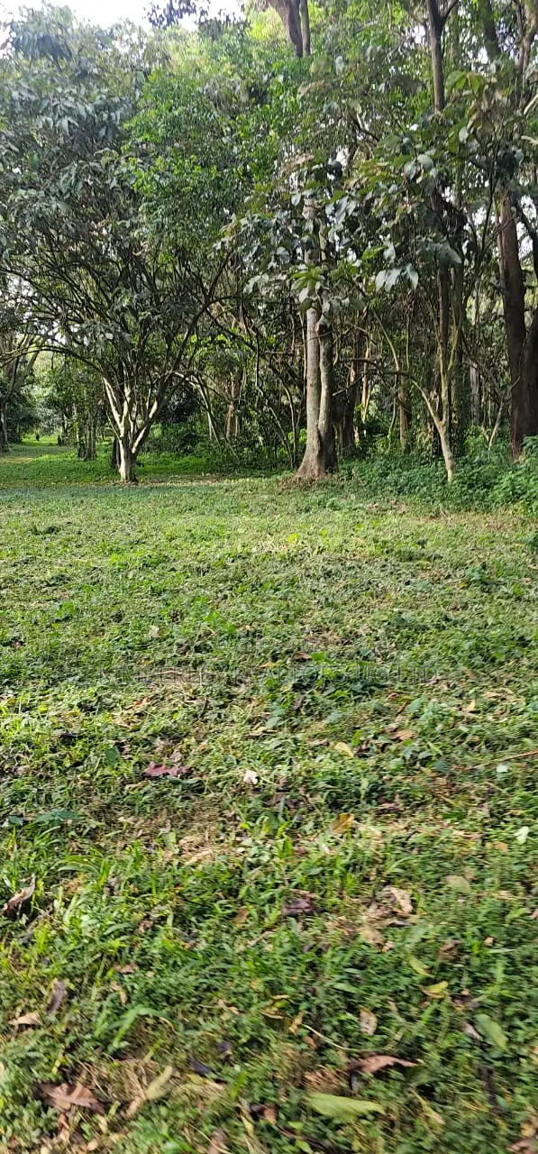 200 Acres For Sale – Nakasongola (Kalungi)