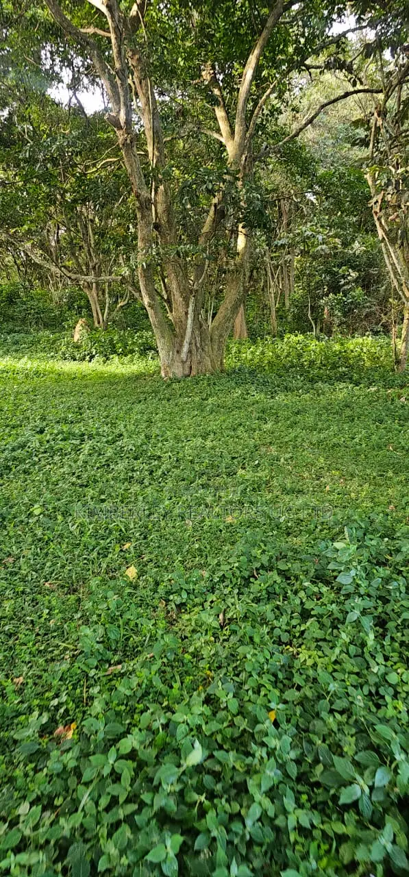 200 Acres For Sale – Nakasongola (Kalungi)