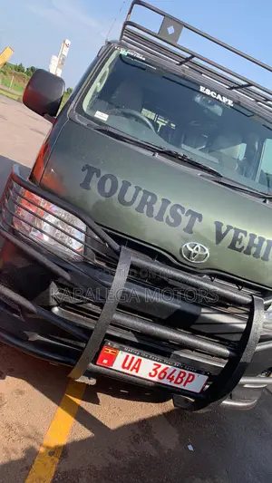 Tours and Travel