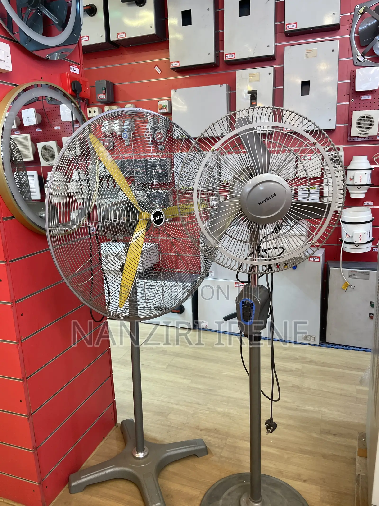 Pedestrial Fan Heavy Duty
