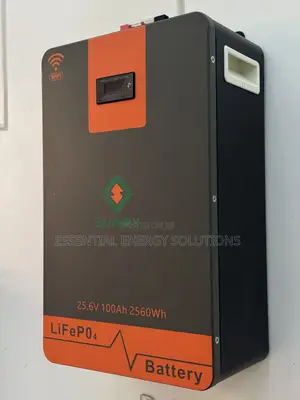 2.5kwh 24v Lithium Phosphate Battery