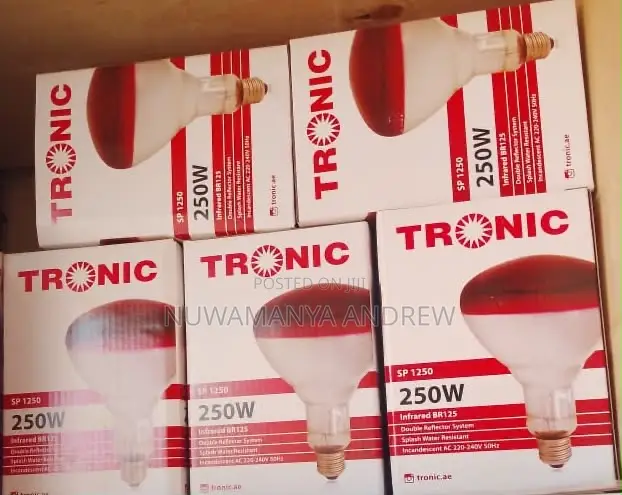 Brooder Bulbs 250w