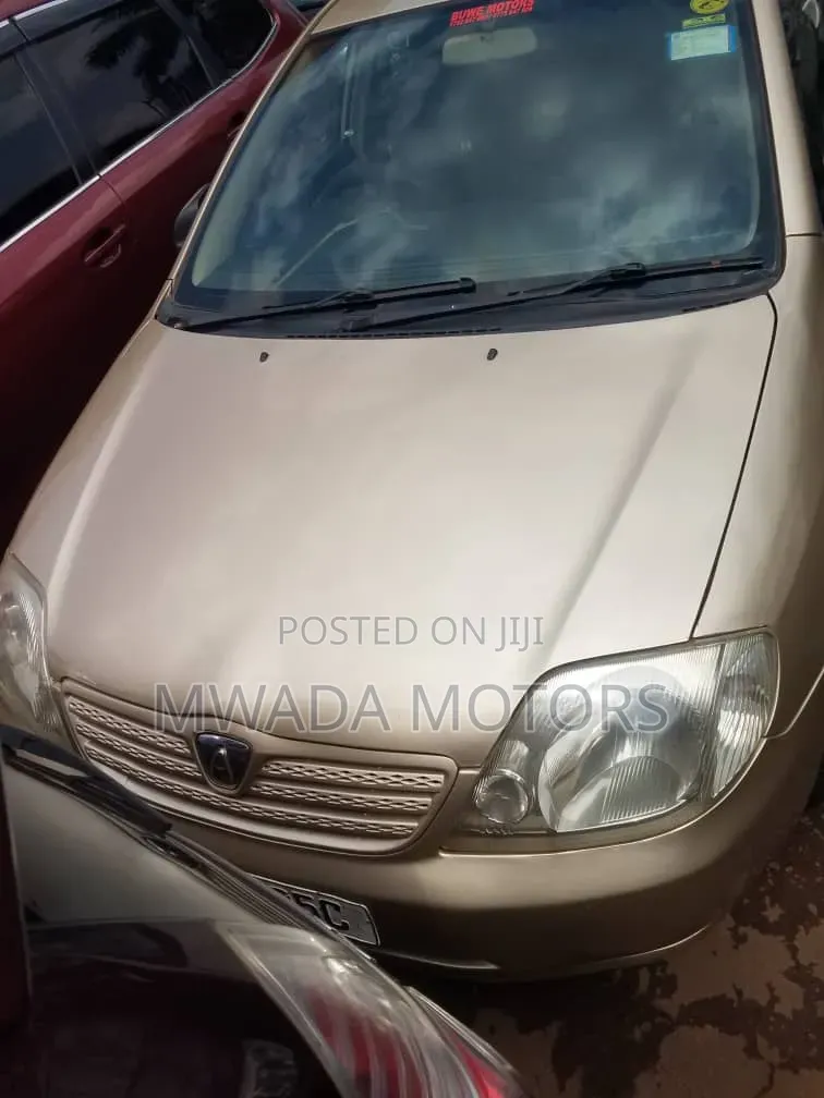Toyota Allex 2006 Brown
