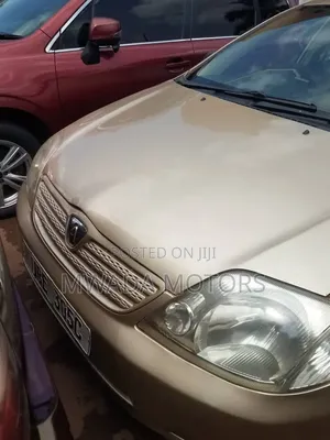 Toyota Allex 2006 Brown