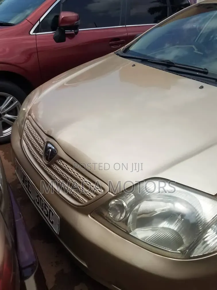 Toyota Allex 2006 Brown