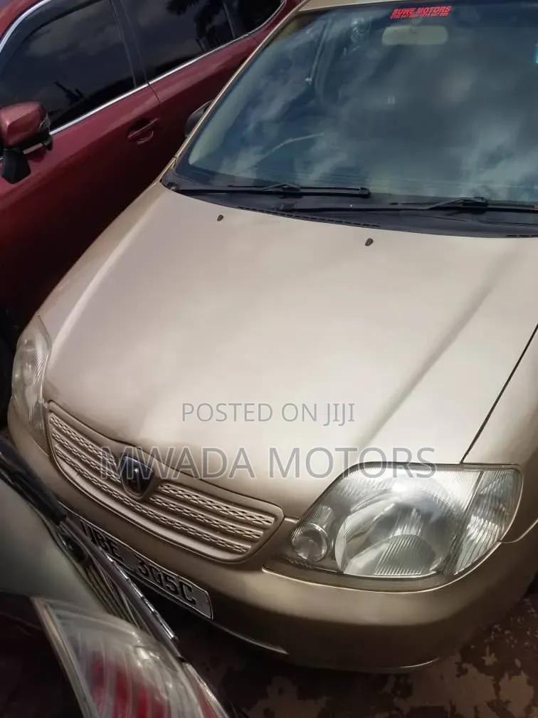 Toyota Allex 2006 Brown