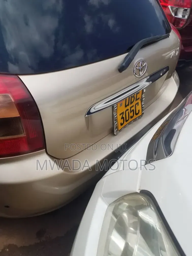 Toyota Allex 2006 Brown