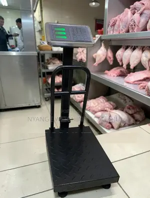 300kg Weigh Japan Weighing Scale Electronic Digital Weighing Scale