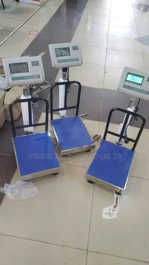 A.12 Crown Weighing Scale 300kg Weigh Digital Platform Weighing Scale