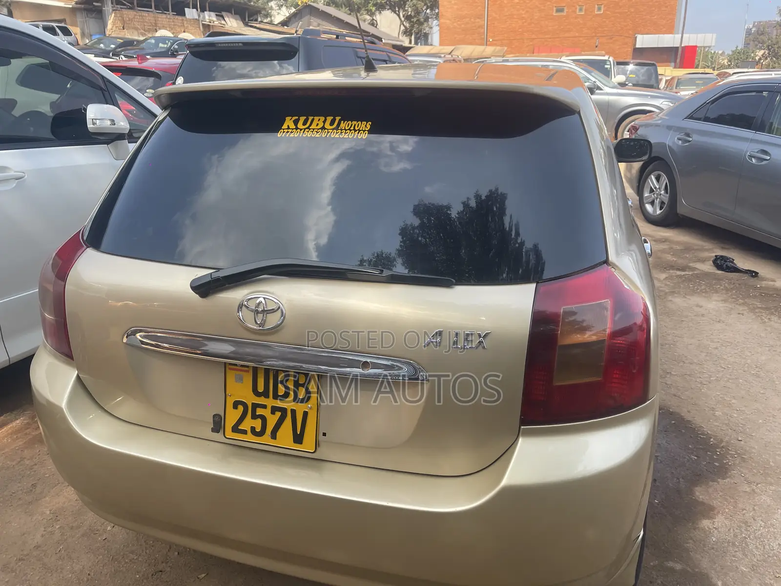 Toyota Allex 2002 Gold
