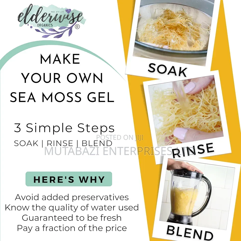 Premium Wildcrafted Raw Sea Moss – Nature's Mineral-rich Superfood
