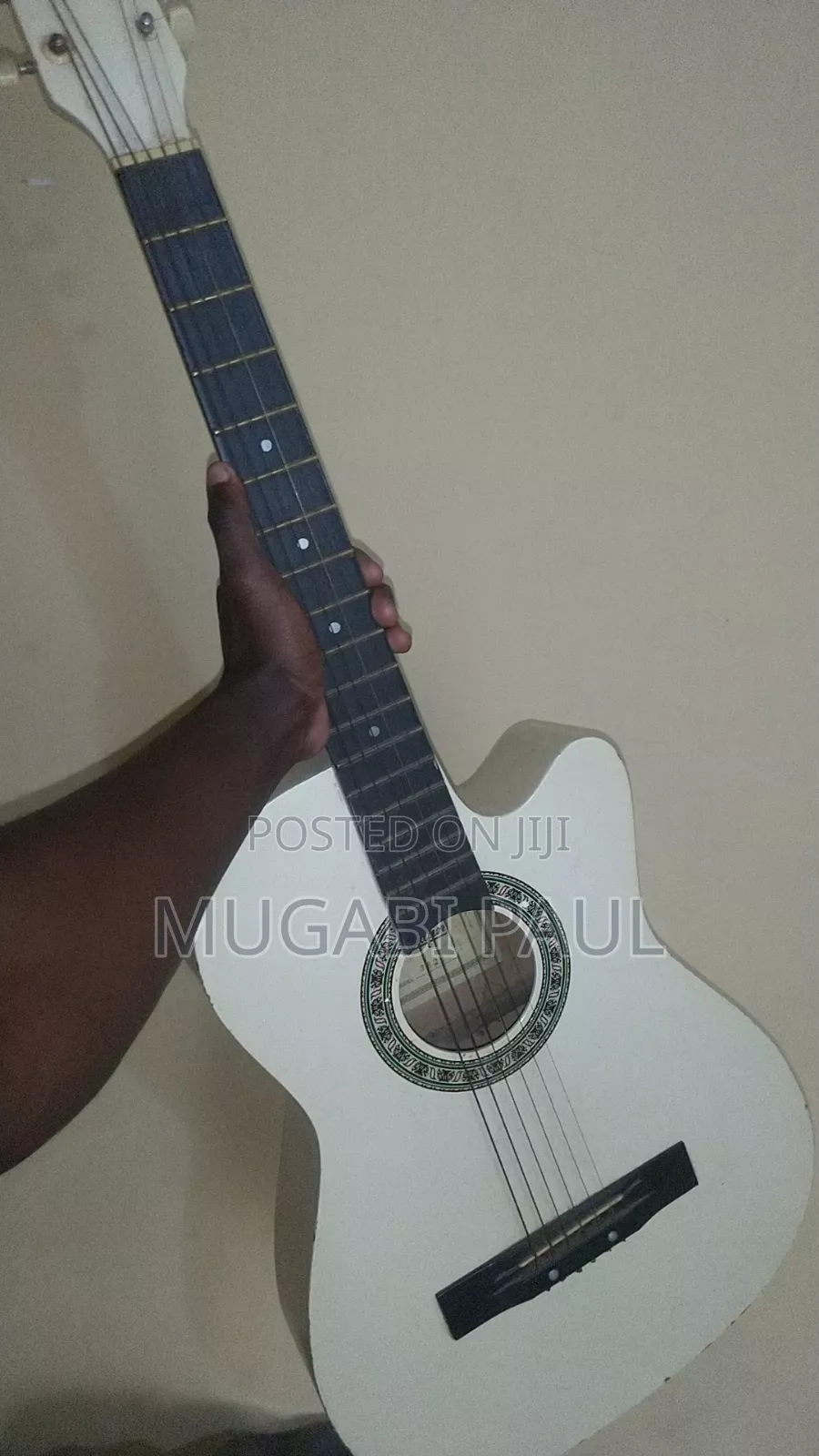 Aquatic Guitar
