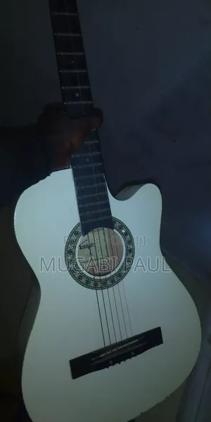 Aquatic Guitar