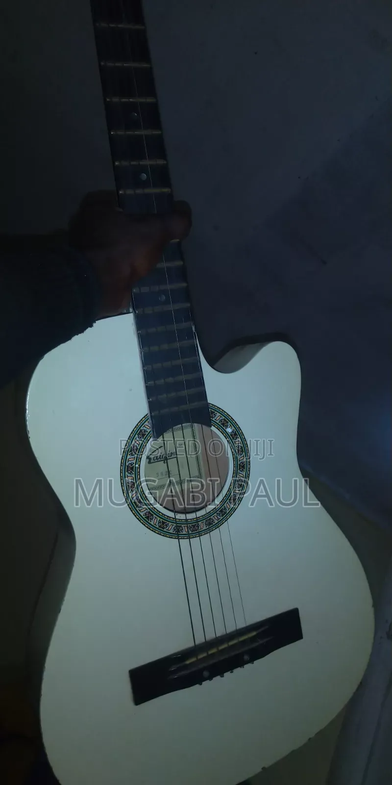 Aquatic Guitar