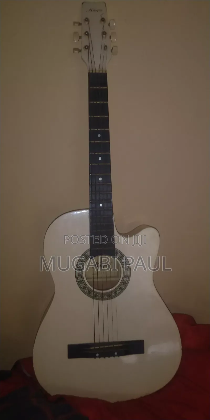 Aquatic Guitar