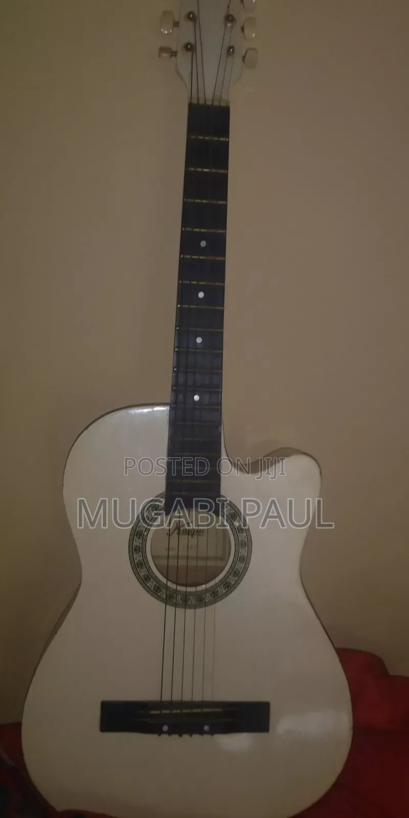 Aquatic Guitar