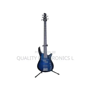 Bass Guitar