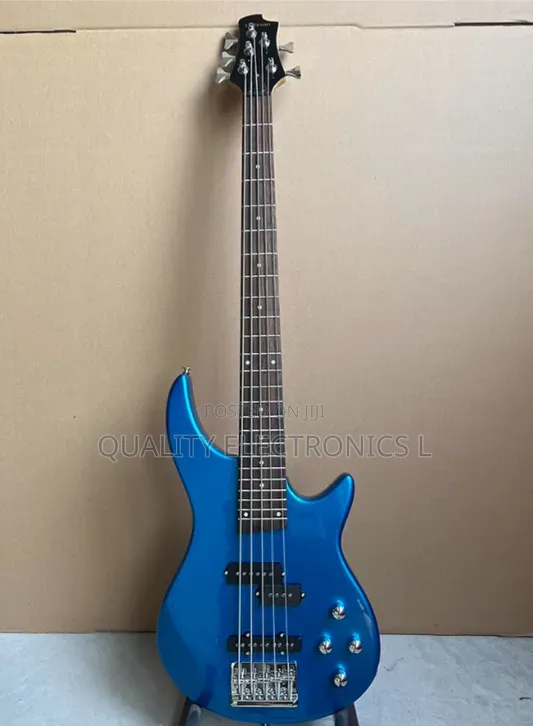 Bass Guitar 5 Strings