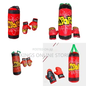 Children's Punch Bag Professional Punching Bag With Boxing Gloves