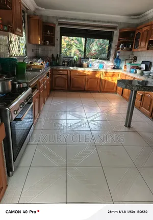 Detailed Cleaning in Buziga