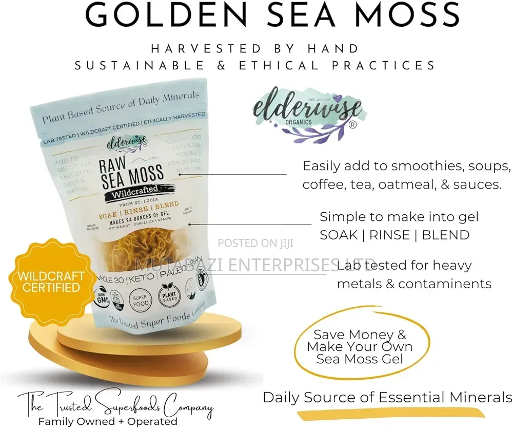 Premium Wildcrafted Raw Sea Moss – Nature's Mineral-rich Superfood