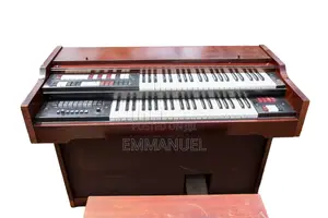 Lowrey Deluxe Ds0-1 Piano