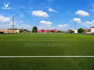High Standard Grass Carpets