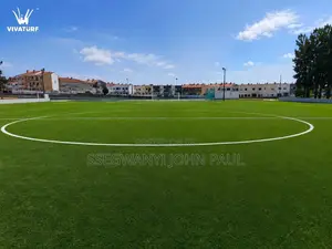 High Standard Grass Carpets
