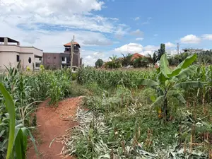  Prime Plot for Sale – Kira Town