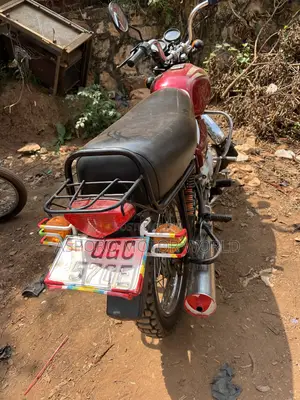 Bajaj Boxer 100 2024 Red