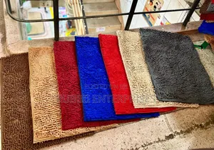 Absorbent Door Mat