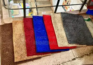 Absorbent Door Mat
