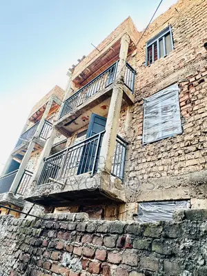 Metal Windows Fg