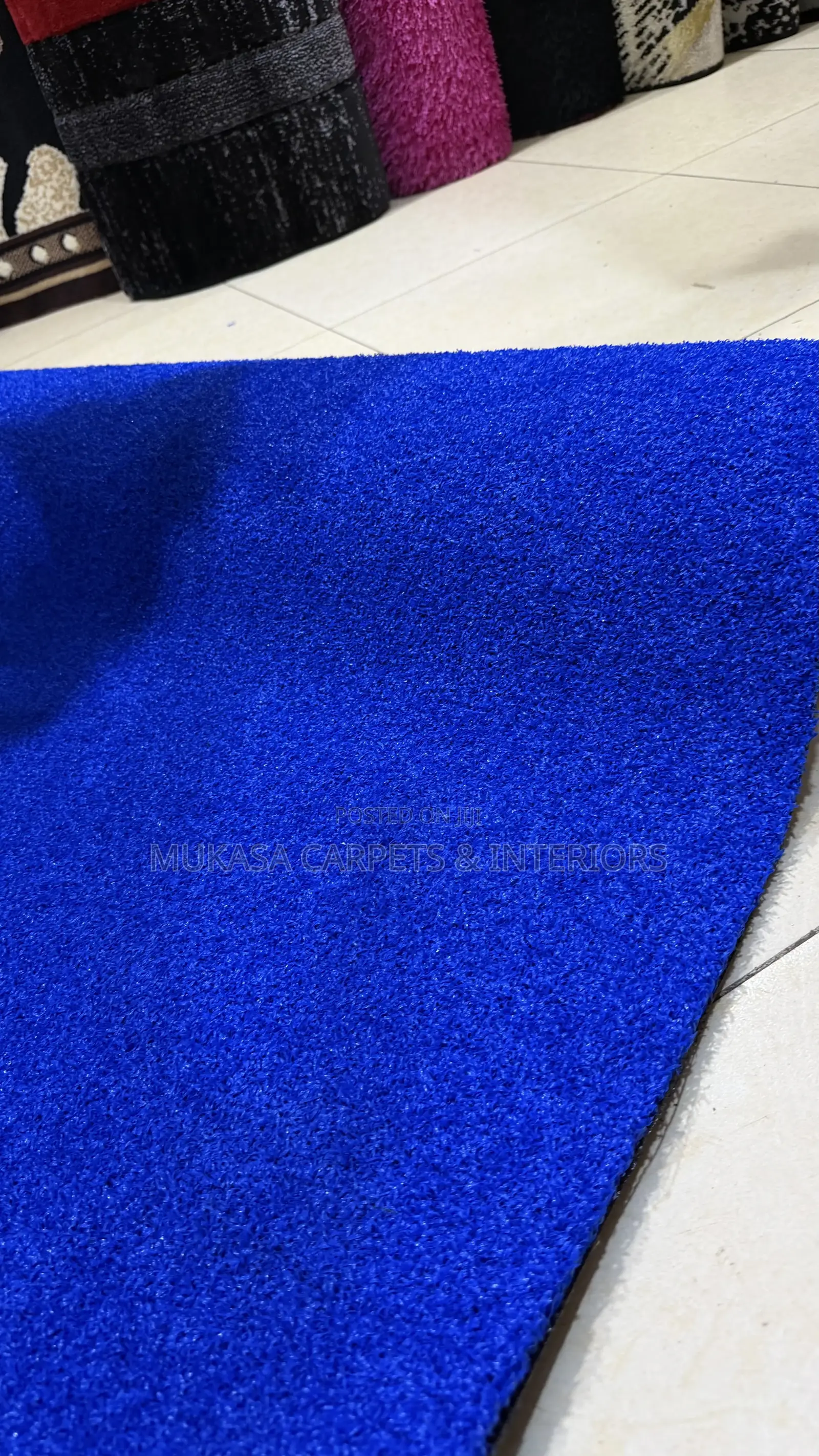 Blue Grass Carpet for Homes Offices