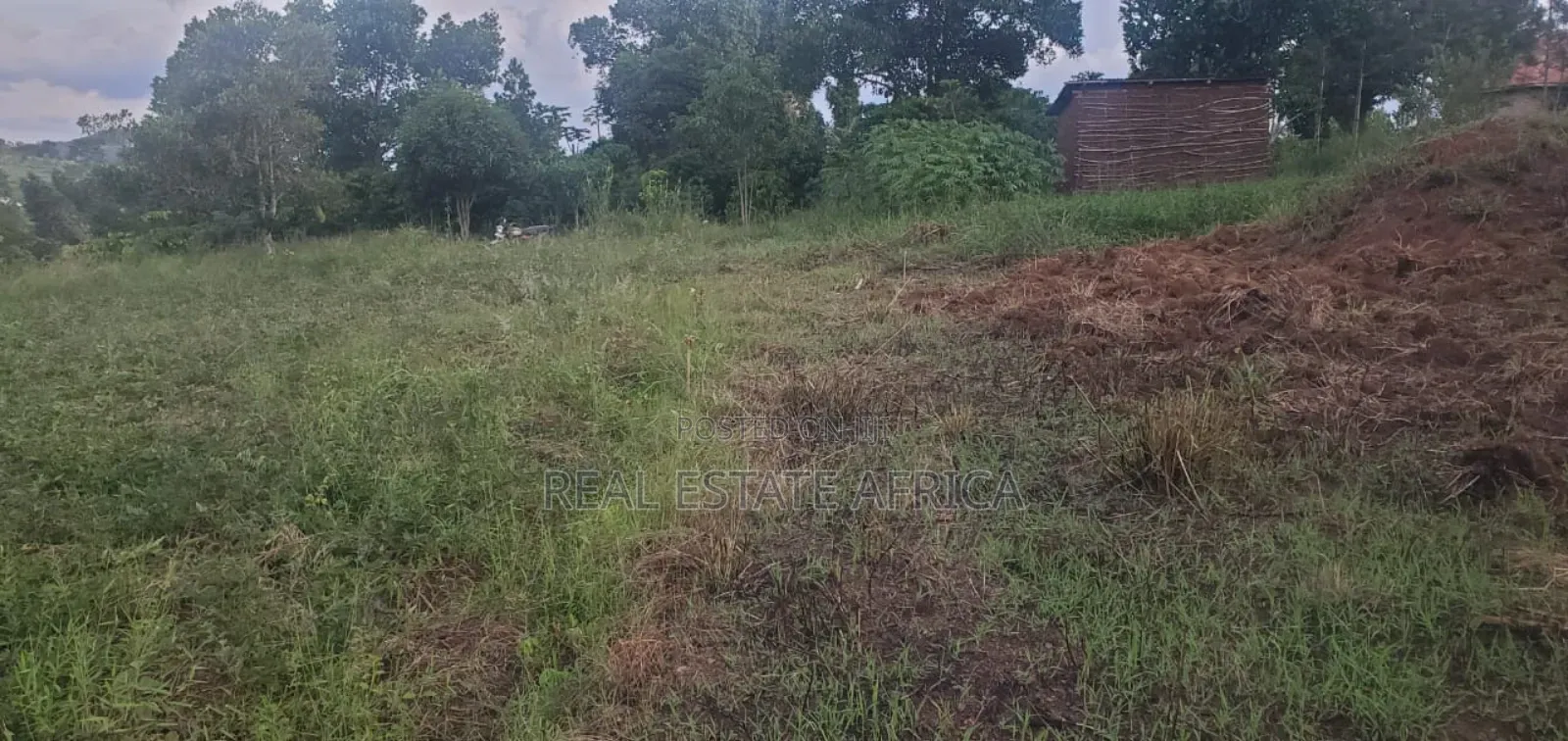 Quick Sale Plot of Land