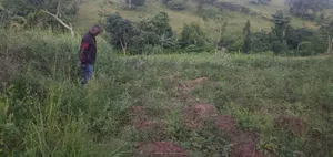 Quick Sale Plot of Land